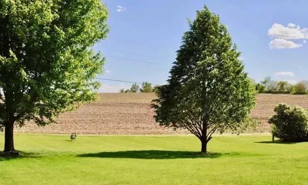 植樹節(jié)|守護綠色家園的秘密武器!